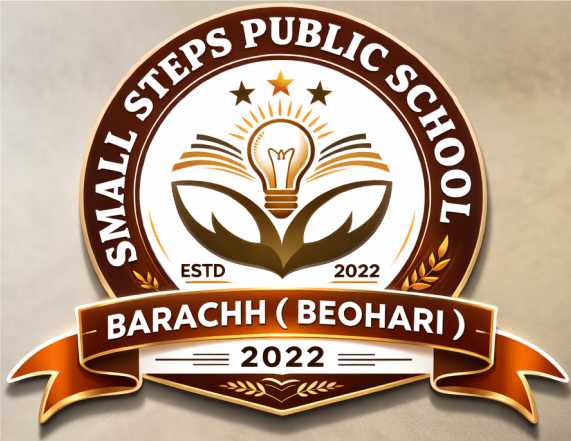 SMALL STEPS PUBLIC SCHOOL